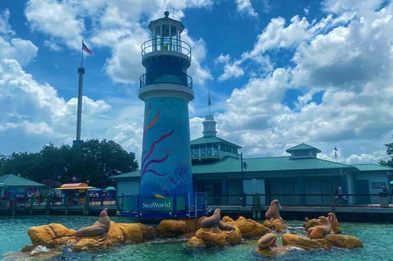 Ingressos SeaWorld Parks: qual escolher e como aproveitar tudo!