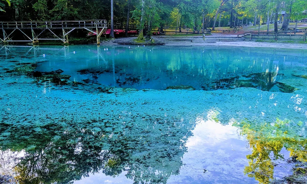 Descubra como visitar o Blue Spring State Park, ver peixes-boi, nadar em águas cristalinas e fazer um passeio diferente perto de Orlando. Conheça o Blue Spring State Park, veja peixes-boi de perto e descubra um dos lugares mais incríveis da Flórida fora dos parques.