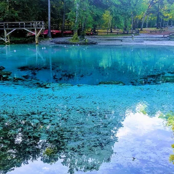 Descubra como visitar o Blue Spring State Park, ver peixes-boi, nadar em águas cristalinas e fazer um passeio diferente perto de Orlando. Conheça o Blue Spring State Park, veja peixes-boi de perto e descubra um dos lugares mais incríveis da Flórida fora dos parques.