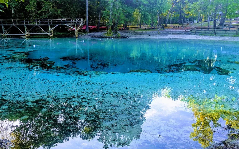 Descubra como visitar o Blue Spring State Park, ver peixes-boi, nadar em águas cristalinas e fazer um passeio diferente perto de Orlando. Conheça o Blue Spring State Park, veja peixes-boi de perto e descubra um dos lugares mais incríveis da Flórida fora dos parques.