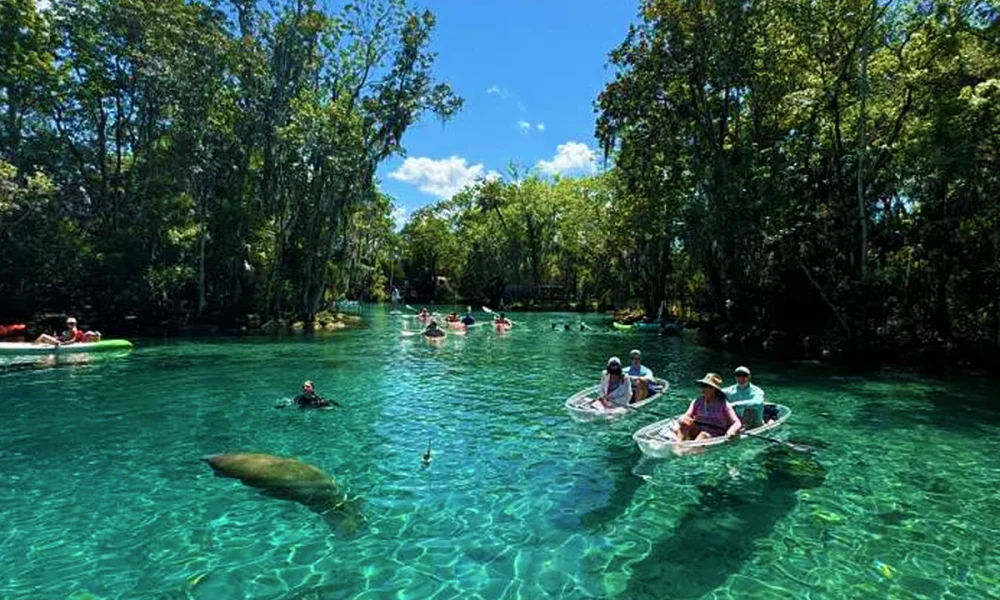 Conheça Crystal River, passeio perto de Orlando para nadar com peixes-boi, ver águas cristalinas e explorar a Flórida além dos parques. Veja como visitar Crystal River, quando ver peixes-boi e como incluir esse passeio no roteiro da sua viagem para Orlando.