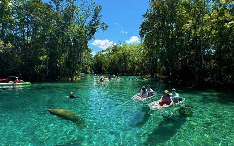 Conheça Crystal River, passeio perto de Orlando para nadar com peixes-boi, ver águas cristalinas e explorar a Flórida além dos parques. Veja como visitar Crystal River, quando ver peixes-boi e como incluir esse passeio no roteiro da sua viagem para Orlando.
