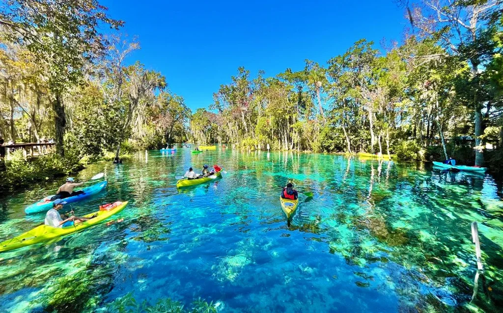 Conheça Crystal River, passeio perto de Orlando para nadar com peixes-boi, ver águas cristalinas e explorar a Flórida além dos parques. Veja como visitar Crystal River, quando ver peixes-boi e como incluir esse passeio no roteiro da sua viagem para Orlando.