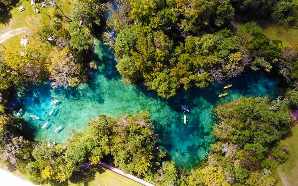 Conheça Crystal River, passeio perto de Orlando para nadar com peixes-boi, ver águas cristalinas e explorar a Flórida além dos parques. Veja como visitar Crystal River, quando ver peixes-boi e como incluir esse passeio no roteiro da sua viagem para Orlando.