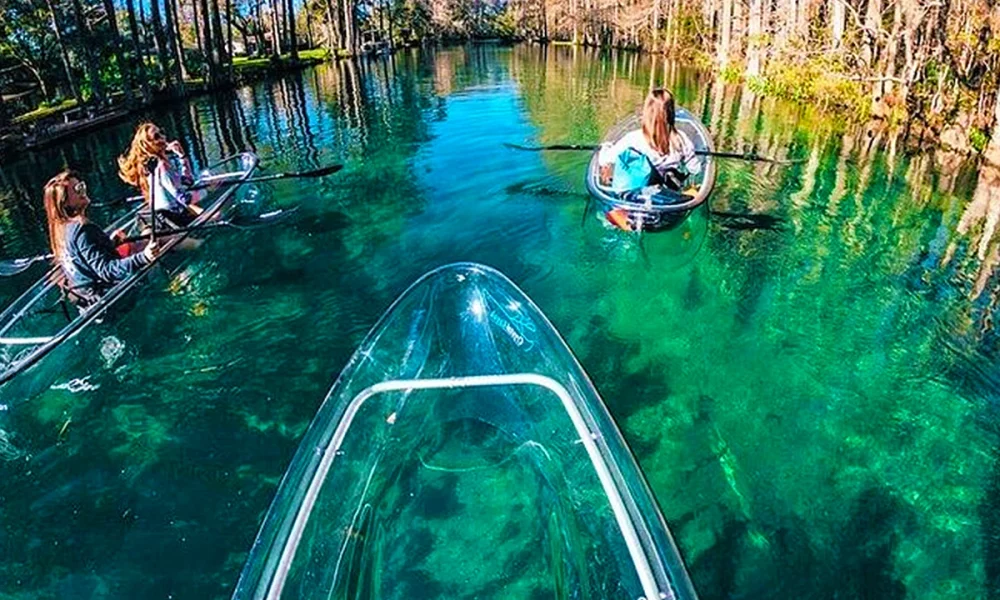 Conheça o Rainbow Springs State Park, uma das nascentes mais bonitas da Flórida. Veja custos, distância, dicas e se vale a pena visitar. Águas cristalinas, tubing, caiaque e natureza. Descubra por que Rainbow Springs é um dos melhores passeios bate-volta saindo de Orlando.