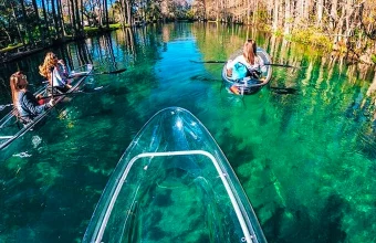 Conheça o Rainbow Springs State Park, uma das nascentes mais bonitas da Flórida. Veja custos, distância, dicas e se vale a pena visitar. Águas cristalinas, tubing, caiaque e natureza. Descubra por que Rainbow Springs é um dos melhores passeios bate-volta saindo de Orlando.