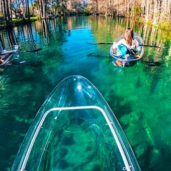Conheça o Rainbow Springs State Park, uma das nascentes mais bonitas da Flórida. Veja custos, distância, dicas e se vale a pena visitar. Águas cristalinas, tubing, caiaque e natureza. Descubra por que Rainbow Springs é um dos melhores passeios bate-volta saindo de Orlando.