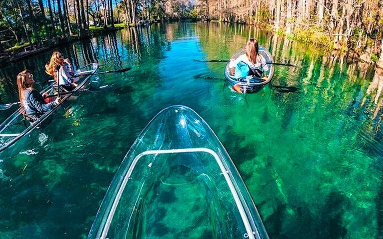 Conheça o Rainbow Springs State Park, uma das nascentes mais bonitas da Flórida. Veja custos, distância, dicas e se vale a pena visitar. Águas cristalinas, tubing, caiaque e natureza. Descubra por que Rainbow Springs é um dos melhores passeios bate-volta saindo de Orlando.