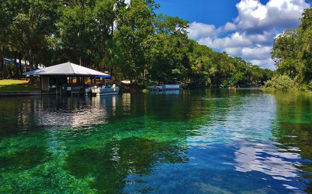 Conheça o Rainbow Springs State Park, uma das nascentes mais bonitas da Flórida. Veja custos, distância, dicas e se vale a pena visitar. Águas cristalinas, tubing, caiaque e natureza. Descubra por que Rainbow Springs é um dos melhores passeios bate-volta saindo de Orlando.