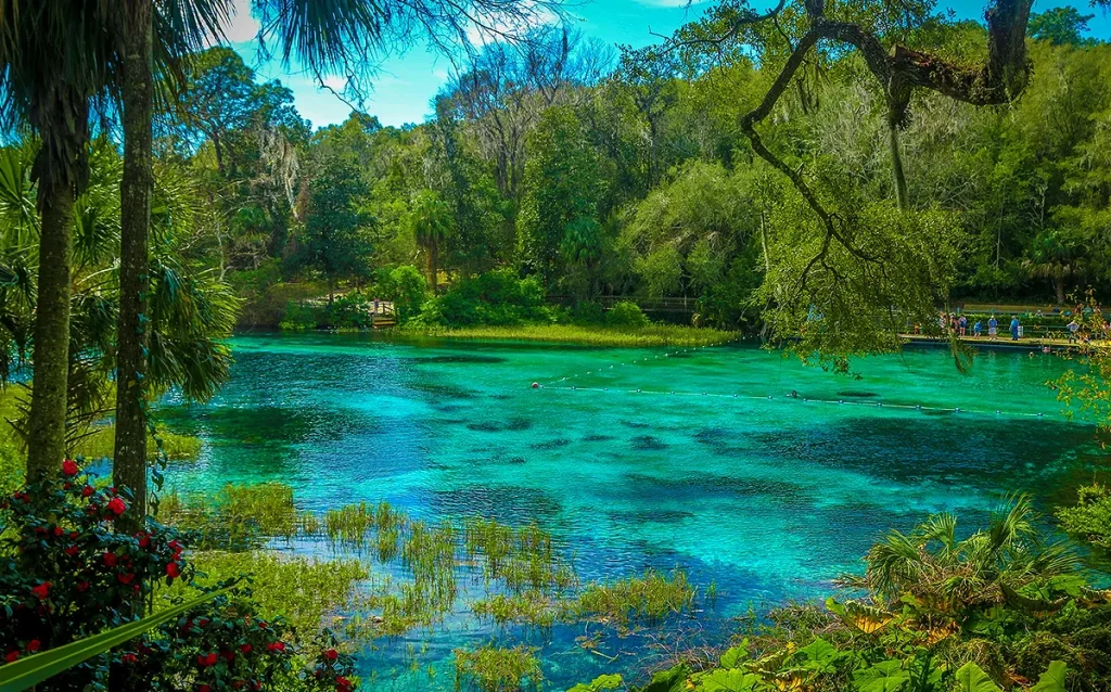 Conheça o Rainbow Springs State Park, uma das nascentes mais bonitas da Flórida. Veja custos, distância, dicas e se vale a pena visitar. Águas cristalinas, tubing, caiaque e natureza. Descubra por que Rainbow Springs é um dos melhores passeios bate-volta saindo de Orlando.