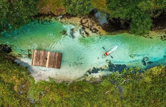 Conheça Rock Springs, passeio natural perto de Orlando com água cristalina, boias e excelente custo-benefício para fugir dos parques. Veja como visitar Rock Springs no Kelly Park, quanto custa, quando ir e como encaixar esse passeio no roteiro de Orlando.