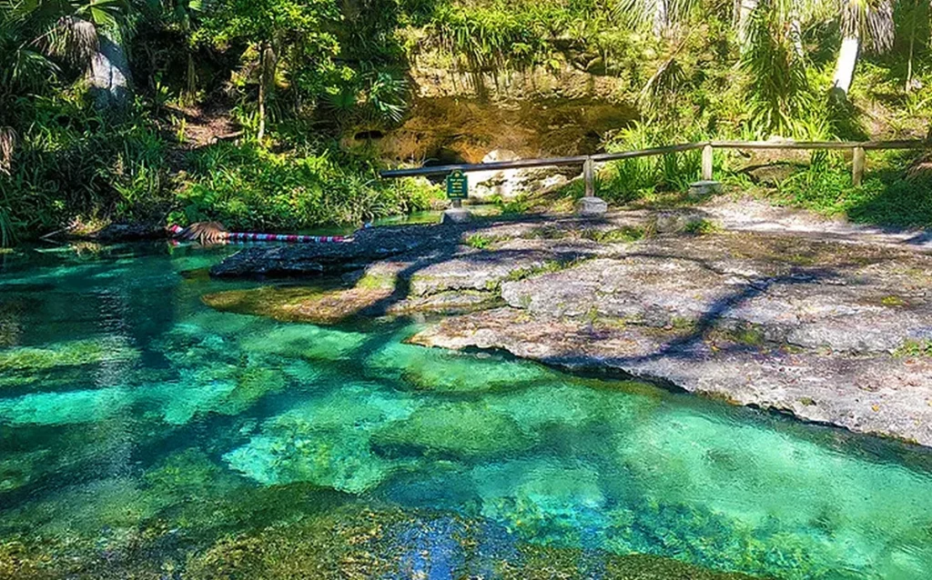 Conheça Rock Springs, passeio natural perto de Orlando com água cristalina, boias e excelente custo-benefício para fugir dos parques. Veja como visitar Rock Springs no Kelly Park, quanto custa, quando ir e como encaixar esse passeio no roteiro de Orlando.