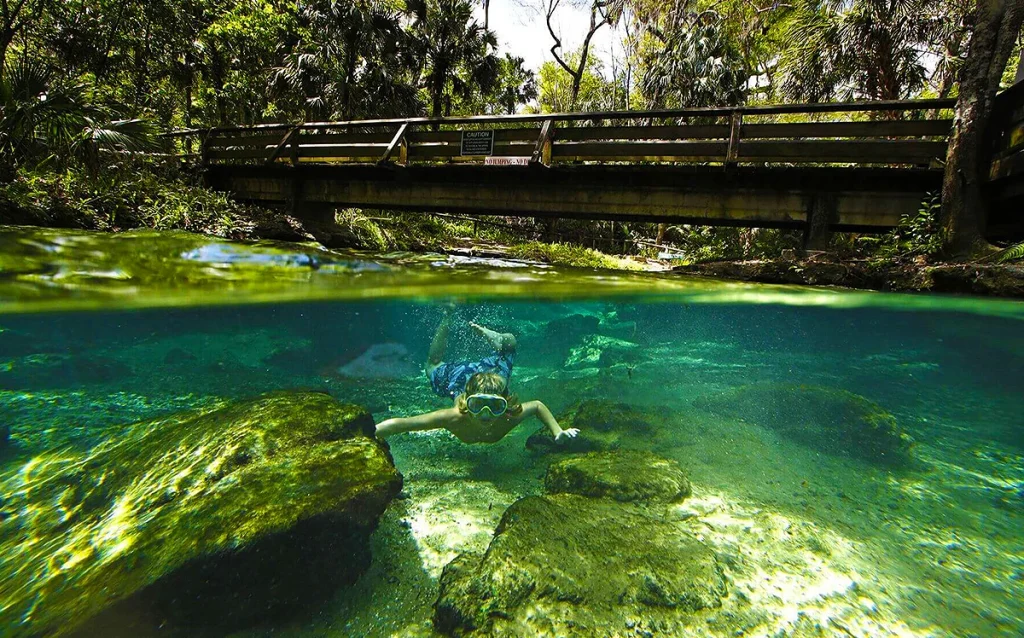 Conheça Rock Springs, passeio natural perto de Orlando com água cristalina, boias e excelente custo-benefício para fugir dos parques. Veja como visitar Rock Springs no Kelly Park, quanto custa, quando ir e como encaixar esse passeio no roteiro de Orlando.