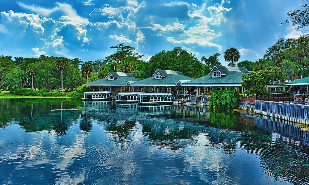 Conheça Silver Springs, uma das nascentes mais famosas da Flórida, com barcos de fundo de vidro, vida selvagem e paisagens incríveis. Veja como visitar Silver Springs, quanto custa, o que fazer e por que esse é um dos passeios naturais mais interessantes da Flórida.