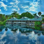 Silver Springs: outro lugar que vale a pena visitar perto de Orlando Conheça Silver Springs, uma das nascentes mais famosas da Flórida, com barcos de fundo de vidro, vida selvagem e paisagens incríveis. Veja como visitar Silver Springs, quanto custa, o que fazer e por que esse é um dos passeios naturais mais interessantes da Flórida.