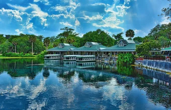 Conheça Silver Springs, uma das nascentes mais famosas da Flórida, com barcos de fundo de vidro, vida selvagem e paisagens incríveis. Veja como visitar Silver Springs, quanto custa, o que fazer e por que esse é um dos passeios naturais mais interessantes da Flórida.