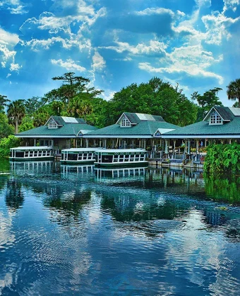 Conheça Silver Springs, uma das nascentes mais famosas da Flórida, com barcos de fundo de vidro, vida selvagem e paisagens incríveis. Veja como visitar Silver Springs, quanto custa, o que fazer e por que esse é um dos passeios naturais mais interessantes da Flórida.