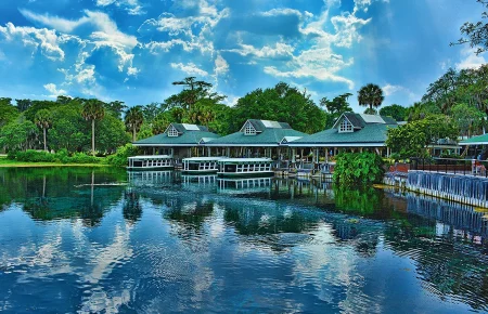 Conheça Silver Springs, uma das nascentes mais famosas da Flórida, com barcos de fundo de vidro, vida selvagem e paisagens incríveis. Veja como visitar Silver Springs, quanto custa, o que fazer e por que esse é um dos passeios naturais mais interessantes da Flórida.