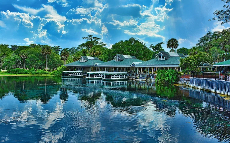 Conheça Silver Springs, uma das nascentes mais famosas da Flórida, com barcos de fundo de vidro, vida selvagem e paisagens incríveis. Veja como visitar Silver Springs, quanto custa, o que fazer e por que esse é um dos passeios naturais mais interessantes da Flórida.