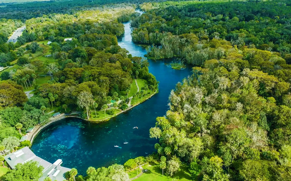 Conheça Silver Springs, uma das nascentes mais famosas da Flórida, com barcos de fundo de vidro, vida selvagem e paisagens incríveis. Veja como visitar Silver Springs, quanto custa, o que fazer e por que esse é um dos passeios naturais mais interessantes da Flórida.