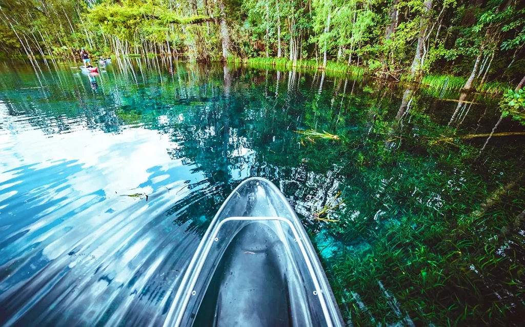 Conheça Silver Springs, uma das nascentes mais famosas da Flórida, com barcos de fundo de vidro, vida selvagem e paisagens incríveis. Veja como visitar Silver Springs, quanto custa, o que fazer e por que esse é um dos passeios naturais mais interessantes da Flórida.