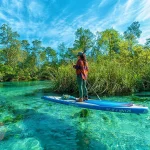 Conheça Weeki Wachee Springs, o parque das sereias da Flórida. Veja como chegar, quanto custa e se vale a pena saindo de Orlando. Descubra uma das atrações mais diferentes da Flórida com águas cristalinas, sereias e passeios de caiaque.