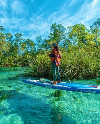 Conheça Weeki Wachee Springs, o parque das sereias da Flórida. Veja como chegar, quanto custa e se vale a pena saindo de Orlando. Descubra uma das atrações mais diferentes da Flórida com águas cristalinas, sereias e passeios de caiaque.