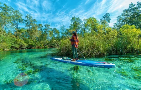 Conheça Weeki Wachee Springs, o parque das sereias da Flórida. Veja como chegar, quanto custa e se vale a pena saindo de Orlando. Descubra uma das atrações mais diferentes da Flórida com águas cristalinas, sereias e passeios de caiaque.