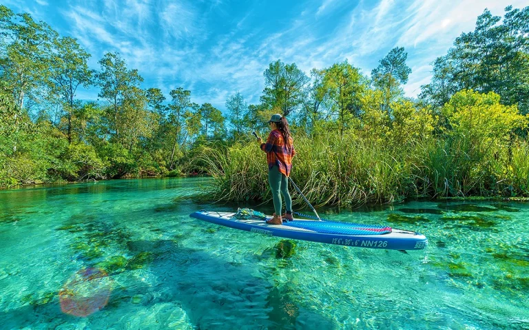 Conheça Weeki Wachee Springs, o parque das sereias da Flórida. Veja como chegar, quanto custa e se vale a pena saindo de Orlando. Descubra uma das atrações mais diferentes da Flórida com águas cristalinas, sereias e passeios de caiaque.