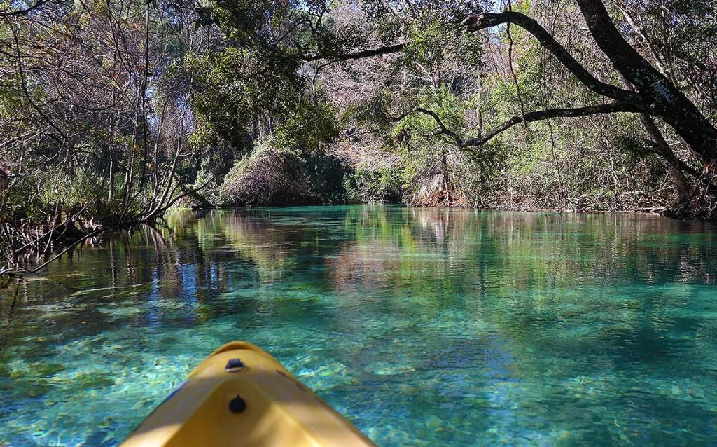 Conheça Weeki Wachee Springs, o parque das sereias da Flórida. Veja como chegar, quanto custa e se vale a pena saindo de Orlando. Descubra uma das atrações mais diferentes da Flórida com águas cristalinas, sereias e passeios de caiaque.