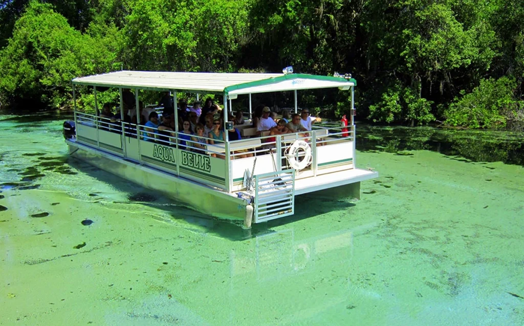 Conheça Weeki Wachee Springs, o parque das sereias da Flórida. Veja como chegar, quanto custa e se vale a pena saindo de Orlando. Descubra uma das atrações mais diferentes da Flórida com águas cristalinas, sereias e passeios de caiaque.