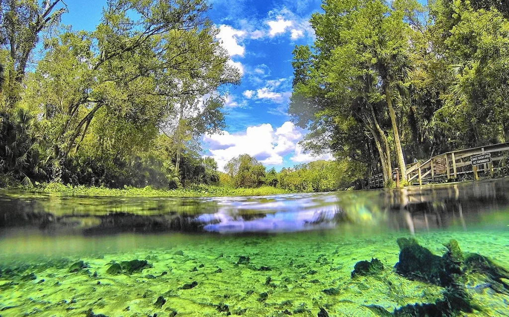 Descubra o Wekiwa Springs State Park, uma nascente cristalina perto de Orlando perfeita para banho, caiaque e contato com a natureza. Conheça uma das nascentes mais bonitas da Flórida e descubra como visitar o Wekiwa Springs saindo de Orlando.