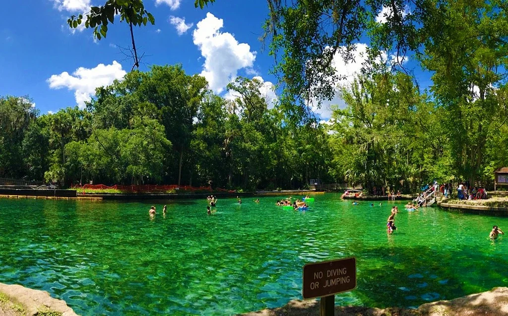 Descubra o Wekiwa Springs State Park, uma nascente cristalina perto de Orlando perfeita para banho, caiaque e contato com a natureza. Conheça uma das nascentes mais bonitas da Flórida e descubra como visitar o Wekiwa Springs saindo de Orlando.
