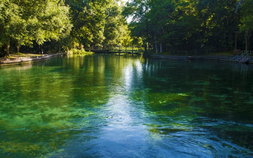 Descubra o Wekiwa Springs State Park, uma nascente cristalina perto de Orlando perfeita para banho, caiaque e contato com a natureza. Conheça uma das nascentes mais bonitas da Flórida e descubra como visitar o Wekiwa Springs saindo de Orlando.