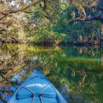 Descubra o Wekiwa Springs State Park, uma nascente cristalina perto de Orlando perfeita para banho, caiaque e contato com a natureza. Conheça uma das nascentes mais bonitas da Flórida e descubra como visitar o Wekiwa Springs saindo de Orlando.