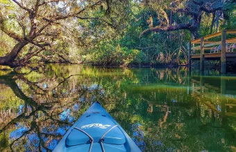 Descubra o Wekiwa Springs State Park, uma nascente cristalina perto de Orlando perfeita para banho, caiaque e contato com a natureza. Conheça uma das nascentes mais bonitas da Flórida e descubra como visitar o Wekiwa Springs saindo de Orlando.