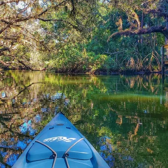 Descubra o Wekiwa Springs State Park, uma nascente cristalina perto de Orlando perfeita para banho, caiaque e contato com a natureza. Conheça uma das nascentes mais bonitas da Flórida e descubra como visitar o Wekiwa Springs saindo de Orlando.