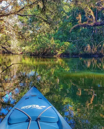 Descubra o Wekiwa Springs State Park, uma nascente cristalina perto de Orlando perfeita para banho, caiaque e contato com a natureza. Conheça uma das nascentes mais bonitas da Flórida e descubra como visitar o Wekiwa Springs saindo de Orlando.