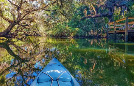 Descubra o Wekiwa Springs State Park, uma nascente cristalina perto de Orlando perfeita para banho, caiaque e contato com a natureza. Conheça uma das nascentes mais bonitas da Flórida e descubra como visitar o Wekiwa Springs saindo de Orlando.