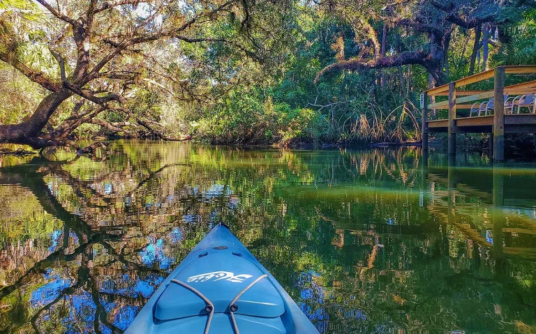 Descubra o Wekiwa Springs State Park, uma nascente cristalina perto de Orlando perfeita para banho, caiaque e contato com a natureza. Conheça uma das nascentes mais bonitas da Flórida e descubra como visitar o Wekiwa Springs saindo de Orlando.