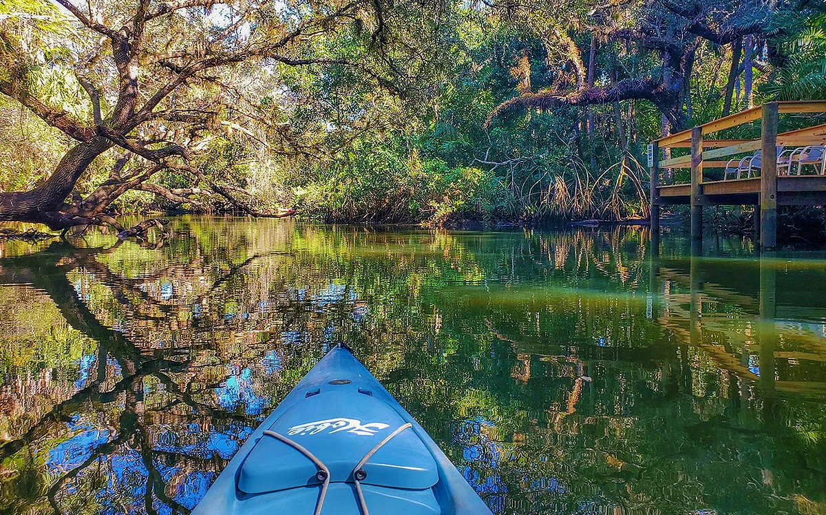 Descubra o Wekiwa Springs State Park, uma nascente cristalina perto de Orlando perfeita para banho, caiaque e contato com a natureza. Conheça uma das nascentes mais bonitas da Flórida e descubra como visitar o Wekiwa Springs saindo de Orlando.
