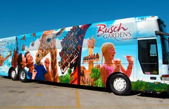 Veja como reservar o shuttle gratuito do Busch Gardens saindo de Orlando, quem pode usar, regras de cancelamento e taxa de no-show.